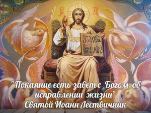 image (11)